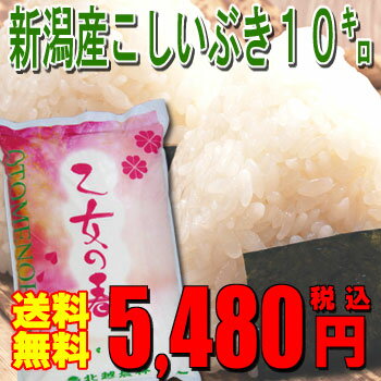 23年産新潟産こしいぶき10kg＜厳選・検査米＞【送料無料】