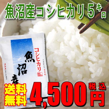 23年産魚沼産コシヒカリ5kg＜厳選・検査米＞【送料無料】