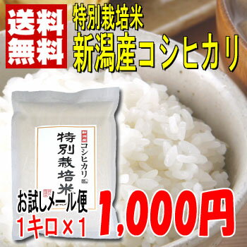 【送料無料】★お試しメール便23年産減農薬栽培新潟産コシヒカリ1kg＜厳選・検査米＞新潟から産地直送、精米仕立てでお届けします。