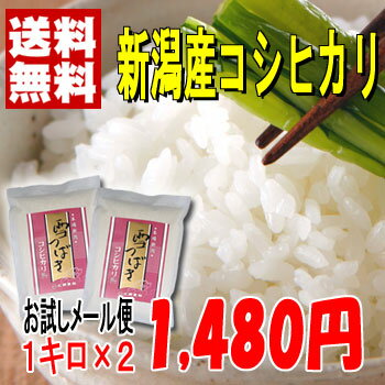 【送料無料】★お試しメール便23年産新潟産コシヒカリ2kg＜厳選・検査米＞新潟から産地直送、精米仕立てでお届けします。【y】