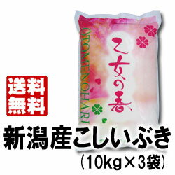 しっかりとした弾力、食べ応えあります！23年産新潟産こしいぶき30kg『乙女の春』＜厳選・検査米＞【送料無料】【smtb-TK】【YDKG-kj】コシヒカリの旨みを受け継いだ「こしいぶき」だから、冷めても美味しい！！