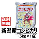 炊きたてはもちろん、冷めても美味しい♪ごはん23年産新潟産コシヒカリ5kg＜厳選・検査米＞【送料無料】【smtb-TK】【YDKG-kj】【10P17Aug12】ふっくら、もっちり！絶妙な粘りと甘みが人気です★