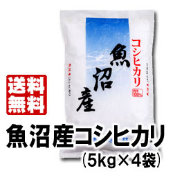 炊きたてはもちろん、冷めても美味しい♪ごはん23年産魚沼産コシヒカリ20kg＜厳選・検査米＞【送料無料】