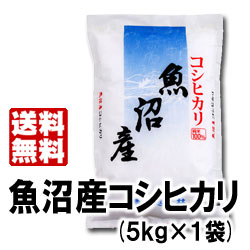 炊きたてはもちろん、冷めても美味しい♪ごはん23年産魚沼産コシヒカリ5kg＜厳選・検査米＞【送料無料】