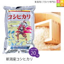 【お買得 17%OFF】新潟産 コシヒカリ 20kg(5kg×4袋) 令和元年産 米 20kg 送料無料 こしひかり 新潟 白米 真空パック