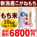 28年産　もち米　新潟産こがねもち10kg（1kg×10）【送料無料】キメの細かい艶、弾力、歯ごたえのある餅ができあがります。 ランキングお取り寄せ