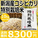 【新米予約】【平成30年産】新潟産コシヒカリ特別栽培米10kg(5kg×2袋)10月上旬頃発売予定