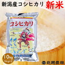 新米 新潟産 コシヒカリ 10kg(5kg×2袋) ※新潟県新潟市産限定コシヒカリ 令和4年産 米 10kg 送料無料 こしひかり 新潟 白米