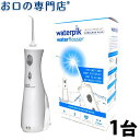 【送料無料】 ウォーターピック ウルトラコードレス WP-4...