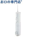 【送料無料】 パナソニック ジェットウォッシャー ドルツ E...