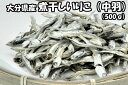 クーポンあり送料無料 ゆうパック煮干し 中羽 500g 業務用いりこ にぼし だし 出汁だし用 出汁用