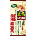 小林製薬 生葉口内塗薬20g×2 【あす楽対応】