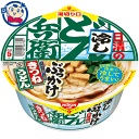 賞味期限:2021年11月17日 送料無料 カップ麺 日清の冷しどん兵衛 ぶっかけきつねうどん 100g×12個入×1ケース