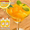ひめのおもてなしジュレ 単品【 みかん 】175g×2袋ゼリー飲料 じゅれ ゼリー 愛媛みかん 愛媛県産 みかん 愛媛産 柑橘 無添加 デザート 国産 Jelly パウチ入り みきゃん オリーブアイランド olive island