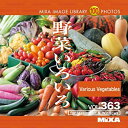 【中古】MIXA Image Library Vol.363 野菜いろいろ