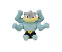 【中古】ポケモンセンターオリジナル ぬいぐるみ Pokemon fit カイリキー