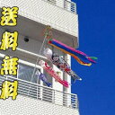 鯉のぼり ベランダ こいのぼり 【スパークル金太郎鯉】DNS...