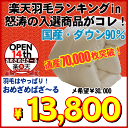 【即納】羽毛布団 シングル 嵩だか145mmダウン