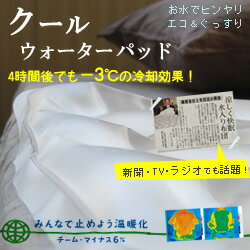 寝返りを打つたび水が動くので長時間ヒンヤリ、朝までぐっすり□水のお布団でひんやり　クールウォーターパッドレギュラーサイズ　95×83cm冷却マット、ヒンヤリマット 【SBZcou1208】