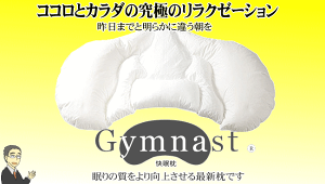 快眠枕ジムナスト4種類のマテリアルを合った部分に詰め込み、快眠を誘います【送料無料】【RCP】