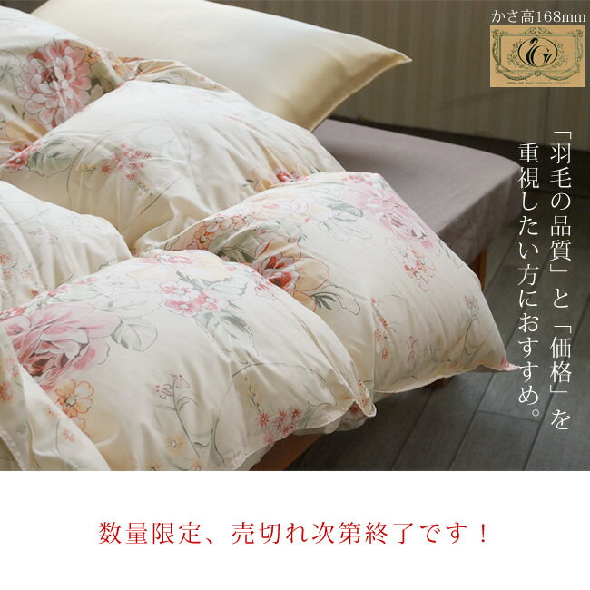 ĤϤᤶˤޤ̡¦ϡ168mm르ɥ٥뺣̵ġե꡼롡̡¦ϡ168mm르ɥ٥롡ڥ󥰥륵