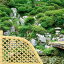 【代引き不可】八ツ矢工業(YATSUYA) 白竹光悦寺垣 56770