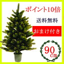 クリスマスツリー90cm RS GLOBAL T