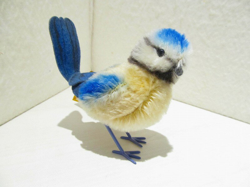 VWEJ̃sbL[@V^CtЁ@Piccy blue tit