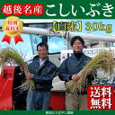 ★送料無料★こだわり特別栽培米こしいぶき白米30kg【もりばやし農園自家栽培】
