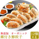 【13日9:59までポイント3倍★】無添加 瀬付き鯵餃子 210g(12個)×4セット【天然魚と有機野菜、オーガニック皮を使用】【日本フーズ】【お中元のし対応可★のし選んでください】