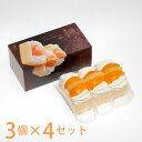 【10日9:59までポイント3倍★】シースクリーム3個入×4セット 梅月堂