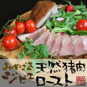 みやざきジビエ 天然猪肉ロースト 化粧箱入り【カリー専門店 トプカ】【代引不可】【送料無料】