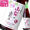 【6日9:59までポイント3倍★】山梨の恵み 720ml×2本セット【7倍濃縮】【国産】【お中元のし対応可】