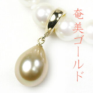 D݂̐^삪ʐ^őIׂIHȉ哇Y̓m^I嗱p[lbNXy_g gbvEp[eB[ɂI[pd_su002]..