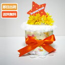 27日(土)到着可★【おむつケーキ・出産祝い】ミニ