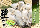 生かき(加熱調理用 むき身)1kg 【10P16Nov09】