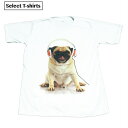 【送料無料】 アニマルプリントTシャツ パグ ホワイト メンズ 動物 ペット かわいい 犬 わんちゃん ヘッドホン 音楽 散歩 ミュージック おもしろデザイン ジョーク おしゃれ インスタ フォト イラスト 男女兼用 ユニセックス M/L/XLサイズ 半袖