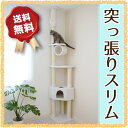 キャットタワー 突っ張り型 CT-A2307 天井の低いお部屋に!【スリム おしゃれ 省スペース スリムタイプ シンプル 猫用品 キャットツリー 爪とぎ つっぱり 北欧 ボックス付 茶 ブラウン 白 ホワイト】キャットタワー 突っ張り型 CT-A2307【送料無料】