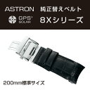 【おまけ付き】アストロン ASTRON 純正替えベルト 8Xシリーズ かん幅22mm 標準200mmタイプ ブラックベルト シルバー尾錠 R7X05AC