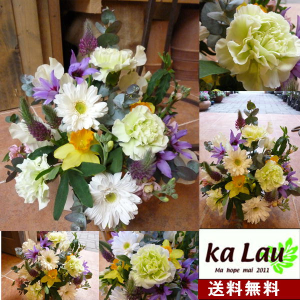 yzJ[l[V@O[i΁jX^_[h^Cṽt[AWgy\ZIz@G߂̐VNȐԂR{[V􂨒a bZ[WJ[htyt[MtgzyyMt_zyyMt_bŹz