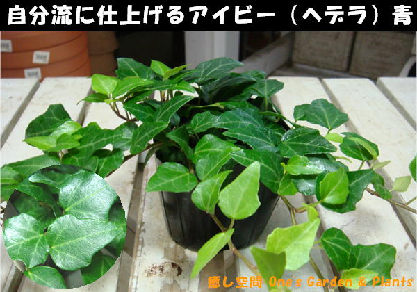 ڥߥ˴տʪ۴󤻥䥤ƥꥢ꡼ʤɤˢӡʥإǥġݥåȡġ˼ʬήμ֤˿ؤƻž夲ƲåȥԥΥƥꥢ󤻿ʤɤˤ礭ƤƲ