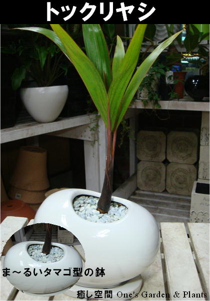 ӥ󥰤ʤɤ֤Ũʶֺ¸ߴΤޤäȤˤץ쥼Ȥʤɤˤڥߥ˴տʪۡڳڥ_ۡڳڥ_åϡۥåʴտʪȥå䥷ƥꥢޥƫȭڼդۢž夲ƥȢ