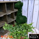 アニマルトピアリーモス♪動物シリーズ♪キリンさん (麒麟)♪Sサイズ斑入りフィカスプミラを植え付けています♪テラコッタ陶器鉢植え 場所取らずでちょこっと置くだけ♪誕生日やお祝い・プレゼントや景品にも♪