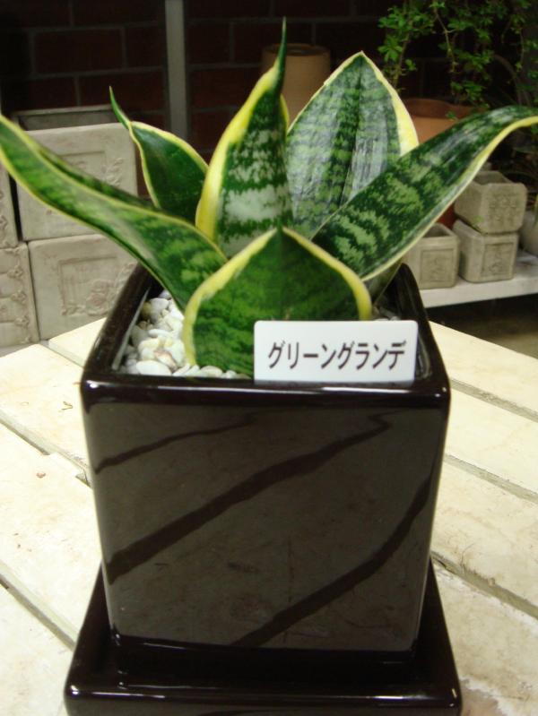 ƥꥢ꡼ˢץ饹åȭǤ̣廊ʤ饪ž夲äȤˤץ쥼Ȥʤɤˤڳڥ_ۡڳڥ_åϡۡڥߥ˴տʪۥ󥹥٥ꥢ꡼󥰥ǡڥĥͭꡦդƫȭۥץ륿