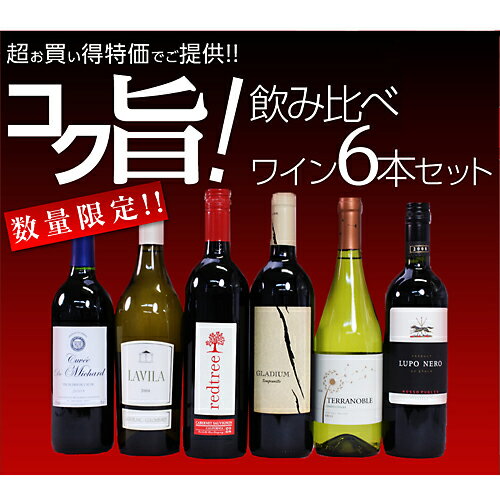 【SALE】 コク旨！飲み比べワイン6本セット 【FS_708-7】【FD】【送料無料！】