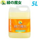 緑の魔女 バス用(お風呂用) 液体洗剤 業務用 5L...