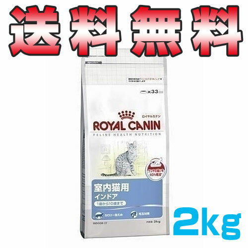 【　大好評！　大感謝セール開催中！！　】 【正規品】 FHN インドア 2kg 【送料無料！】