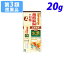 【第3類医薬品】生葉口内塗薬 20g【取寄品】