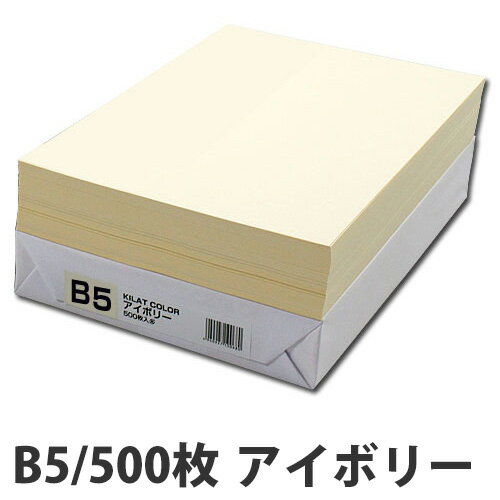 カラーコピー用紙 アイボリー B5 500枚...:onestep:10052650