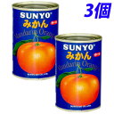 サンヨー堂 アイサンヨーみかん輸入 4号缶×3個...